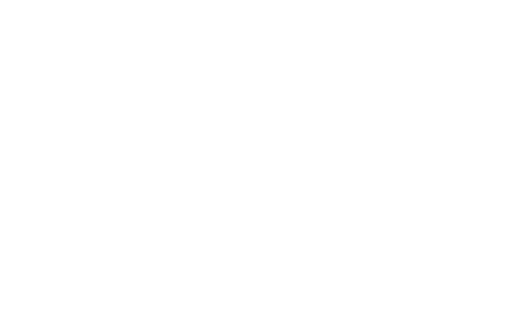 logo sebastien joly blanc logo sebastien joly blanc